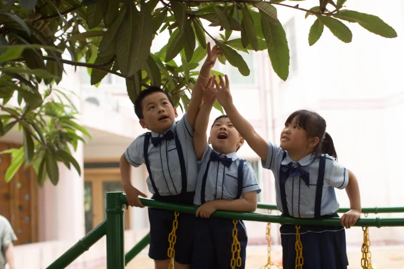 Shifting Alliances: Understanding Why Your Child's Friendships Change and How to Help Them Thrive Through It